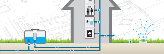 agence immobilière Guadeloupe, agence immobilière en Guadeloupe, achat maison Guadeloupe, achat appartement Guadeloupe, butterfly immobilier, butterfly guadeloupe