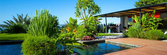 agence immobilière Guadeloupe, agence immobilière en Guadeloupe, achat maison Guadeloupe, achat appartement Guadeloupe, butterfly immobilier, butterfly guadeloupe