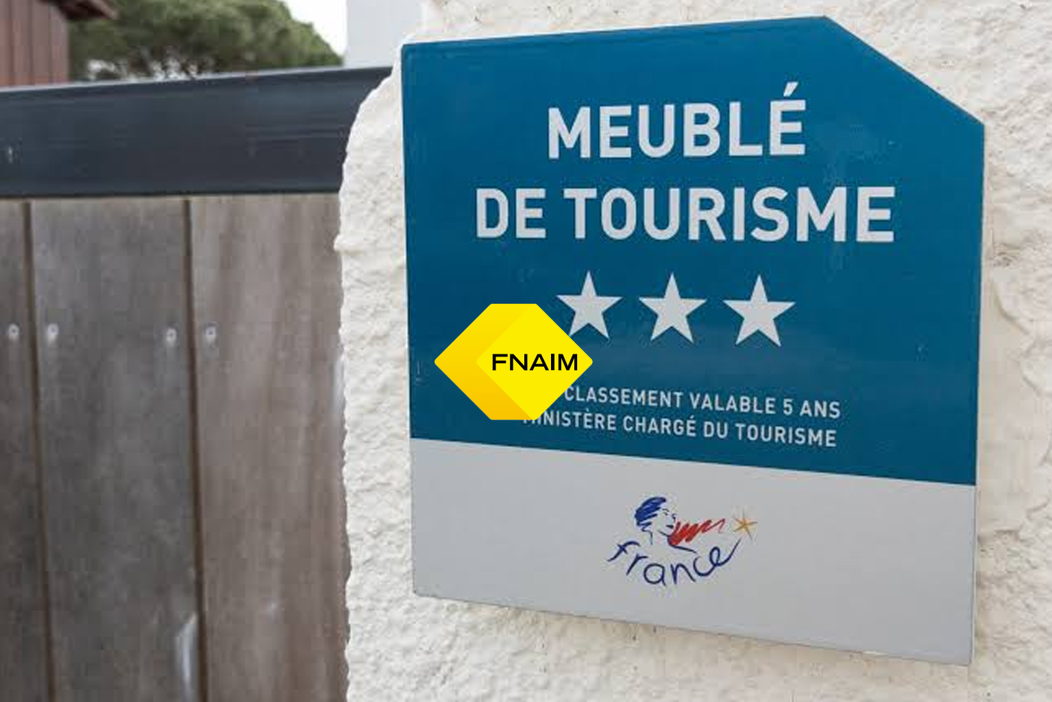 agence immobilière guadeloupe